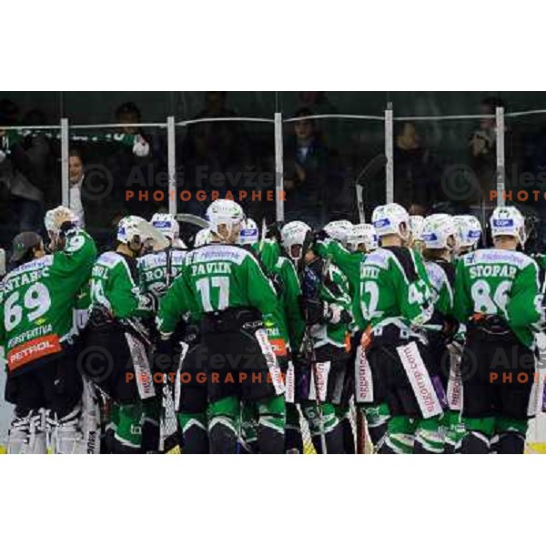 Olimpija at the ice hockey game Olimpija - Jesenice , played in the Erstebank Ice Hockey league , Tivoli , Ljubljana , 10.12.2010 