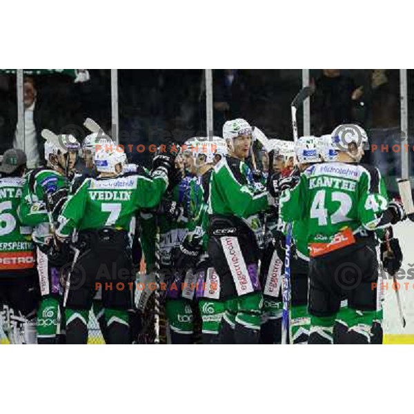 Olimpija at the ice hockey game Olimpija - Jesenice , played in the Erstebank Ice Hockey league , Tivoli , Ljubljana , 10.12.2010 