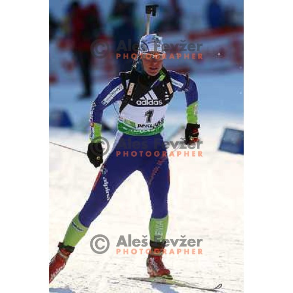 Teja Gregorin (SLO) during E.On IBU World Cup Biathlon, Women 15km individual at Pokljuka, Slovenia on December 16, 2010 