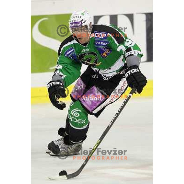 Anze Ropret of Tilia Olimpija in action during ice-hockey match Tilia Olimpija-Vienna Capitals in round 36 of EBEL league, played in Hala Tivoli, Ljubljana on January 7, 2011 