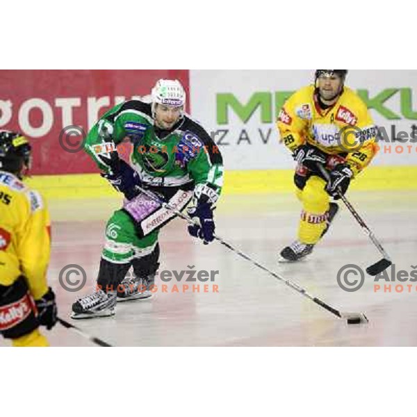 Petr Sachl of Tilia Olimpija in action during ice-hockey match Tilia Olimpija-Vienna Capitals in round 36 of EBEL league, played in Hala Tivoli, Ljubljana on January 7, 2011 