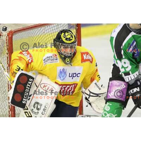 Adam Hauser of Vienna Capitals during ice-hockey match Tilia Olimpija-Vienna Capitals in round 36 of EBEL league, played in Hala Tivoli, Ljubljana on January 7, 2011 