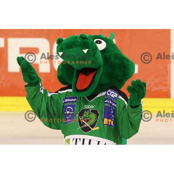 Hoki of Tilia Olimpija in action during ice-hockey match Tilia Olimpija-Vienna Capitals in round 36 of EBEL league, played in Hala Tivoli, Ljubljana on January 7, 2011 