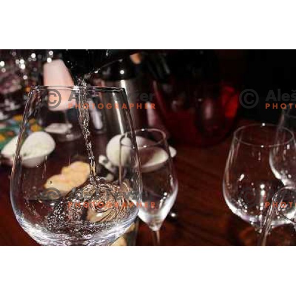 Welsh Riesling night in Rozmarin wine bar during 47. Golden Fox- Zlata Lisica FIS Audi World Cup races in Maribor, Slovenia on January 14, 2011 