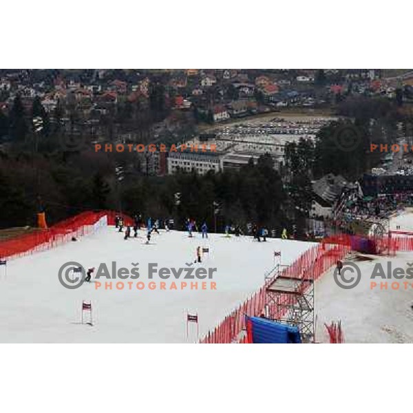Course inspection before 47. Golden Fox- Zlata Lisica FIS Audi World Cup Giant Slalom in Maribor, Slovenia on January 15, 2011 