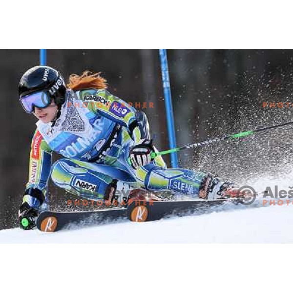 Forerunner Ana Marija Stipic (SLO) during 47. Golden Fox- Zlata Lisica FIS Audi World Cup Giant Slalom race in Maribor, Slovenia on January 15, 2011. Race was cancelled after 25 racers in the finish. 