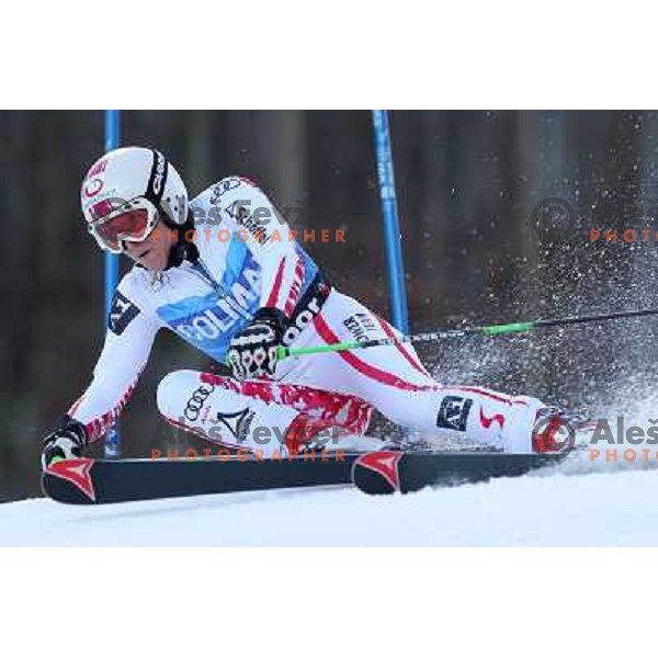 Eva Maria Brem (AUT) during 47. Golden Fox- Zlata Lisica FIS Audi World Cup Giant Slalom race in Maribor, Slovenia on January 15, 2011. Race was cancelled after 25 racers in the finish. 