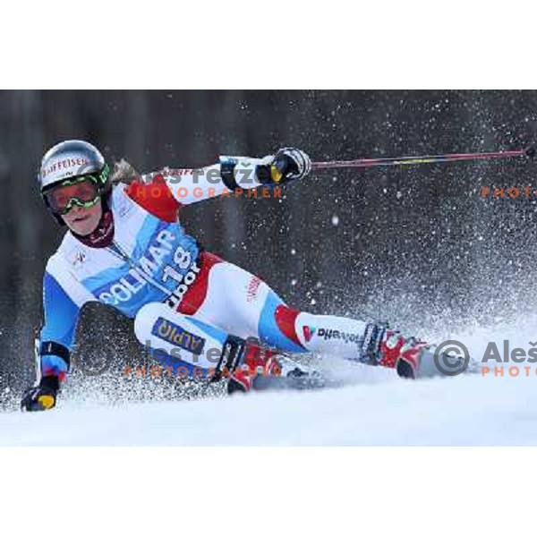 Lara Gut (SUI) during 47. Golden Fox- Zlata Lisica FIS Audi World Cup Giant Slalom race in Maribor, Slovenia on January 15, 2011. Race was cancelled after 25 racers in the finish. 