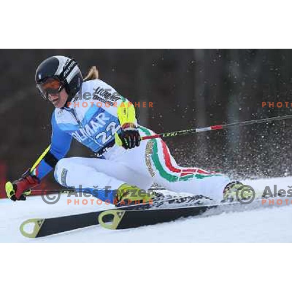 Denise Karbon (ITA) during 47. Golden Fox- Zlata Lisica FIS Audi World Cup Giant Slalom race in Maribor, Slovenia on January 15, 2011. Race was cancelled after 25 racers in the finish. 