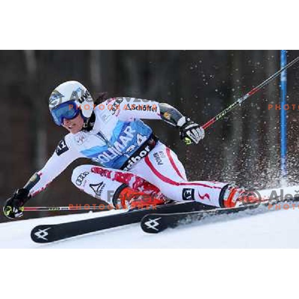 Stefanie Koehle (AUT) during 47. Golden Fox- Zlata Lisica FIS Audi World Cup Giant Slalom race in Maribor, Slovenia on January 15, 2011. Race was cancelled after 25 racers in the finish. 