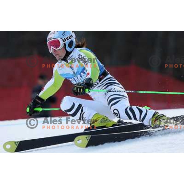 Kathrin Hoelzl (GER) during 47. Golden Fox- Zlata Lisica FIS Audi World Cup Giant Slalom race in Maribor, Slovenia on January 15, 2011. Race was cancelled after 25 racers in the finish. 