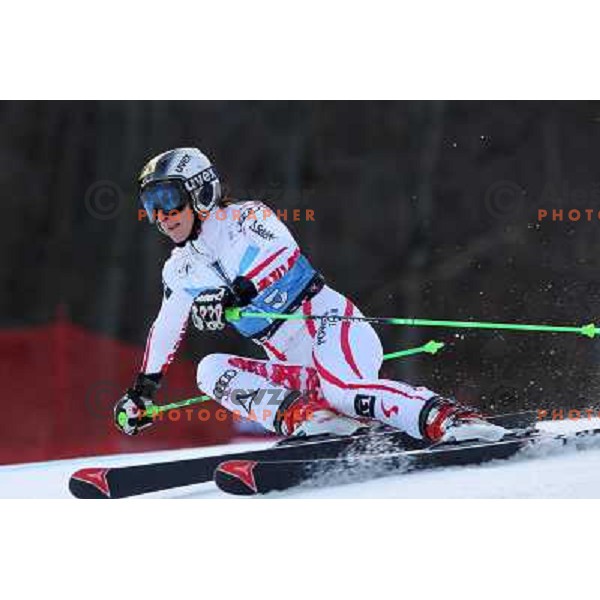 Kathrin Zettel (AUT) during 47. Golden Fox- Zlata Lisica FIS Audi World Cup Giant Slalom race in Maribor, Slovenia on January 15, 2011. Race was cancelled after 25 racers in the finish. 