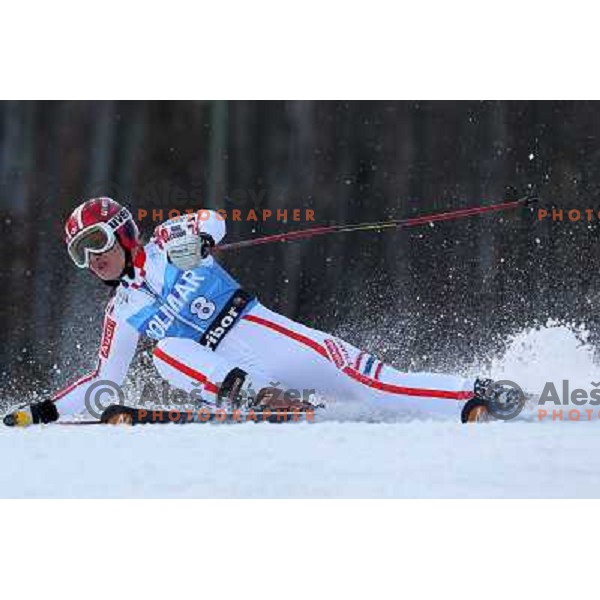 Anemone Marmottan (FRA) during 47. Golden Fox- Zlata Lisica FIS Audi World Cup Giant Slalom race in Maribor, Slovenia on January 15, 2011. Race was cancelled after 25 racers in the finish. 