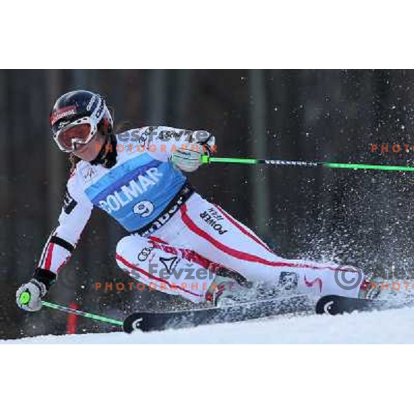 Elisabeth Goergl (AUT) during 47. Golden Fox- Zlata Lisica FIS Audi World Cup Giant Slalom race in Maribor, Slovenia on January 15, 2011. Race was cancelled after 25 racers in the finish. 