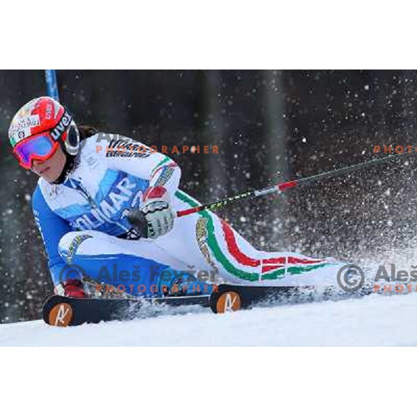 Federica Brignone (ITA) during 47. Golden Fox- Zlata Lisica FIS Audi World Cup Giant Slalom race in Maribor, Slovenia on January 15, 2011. Race was cancelled after 25 racers in the finish. 