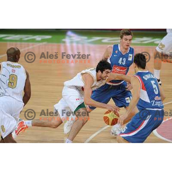 Giorgi Shemadini, Leon Radosevic at the basketball game Union Olimpija - Cibona, played in the NLB adriatic baskteball league, 15.01.2011 , Stozice Arena, Ljubljana, 