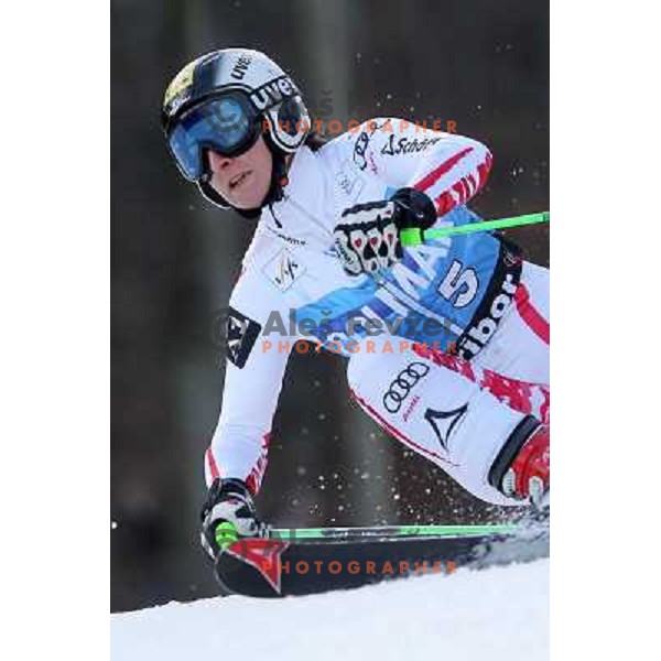Kathrin Zettel (AUT) during 47. Golden Fox- Zlata Lisica FIS Audi World Cup Giant Slalom race in Maribor, Slovenia on January 15, 2011. Race was cancelled after 25 racers in the finish. 