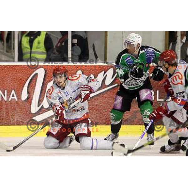 Matej Hocevar of Tilia Olimpija and Klemen Pretnar of Acroni Jesenice in action during ice-hockey match Tilia Olimpija-Acroni Jesenice in round 41 of EBEL league, played in Hala Tivoli, Ljubljana, Slovenia, January 23, 2011 