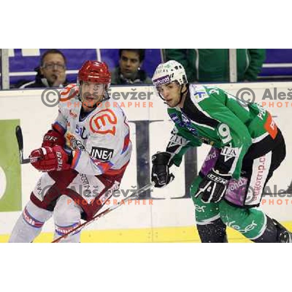 Ziga Pance of Tilia Olimpija and Mitja Robar in action during ice-hockey match Tilia Olimpija-Acroni Jesenice in round 41 of EBEL league, played in Hala Tivoli, Ljubljana, Slovenia, January 23, 2011 