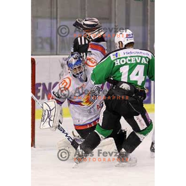 Michal Fikrt of Acroni Jesenice and Matej Hocevar of Tilia Olimpija in action during ice-hockey match Tilia Olimpija-Acroni Jesenice in round 41 of EBEL league, played in Hala Tivoli, Ljubljana, Slovenia, January 23, 2011 