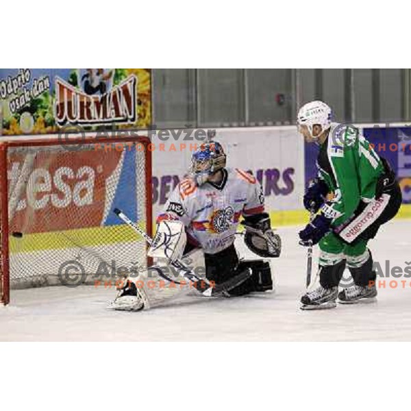 Michal Fikrt of Acroni Jesenice and Petr Sachl of Tilia Olimpija in action during ice-hockey match Tilia Olimpija-Acroni Jesenice in round 41 of EBEL league, played in Hala Tivoli, Ljubljana, Slovenia, January 23, 2011 