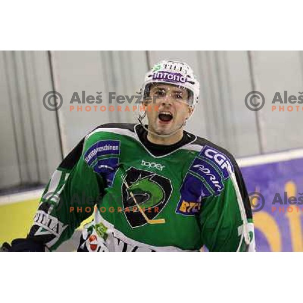 Petr Sachl of Tilia Olimpija celebrates goal during ice-hockey match Tilia Olimpija-Acroni Jesenice in round 41 of EBEL league, played in Hala Tivoli, Ljubljana, Slovenia, January 23, 2011 