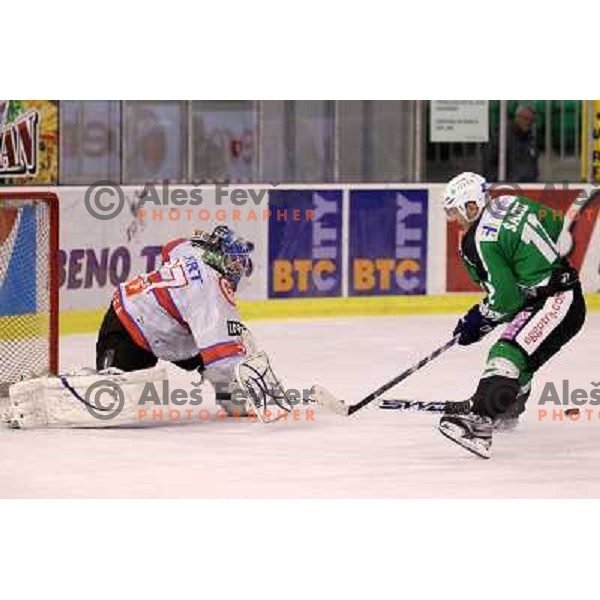 Michal Fikrt of Acroni Jesenice and Petr Sachl of Tilia Olimpija in action during ice-hockey match Tilia Olimpija-Acroni Jesenice in round 41 of EBEL league, played in Hala Tivoli, Ljubljana, Slovenia, January 23, 2011 