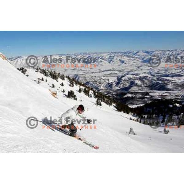 Snowbasin ski resort in Utah, USA, January 2009. Utah has best snow on Earth and fameous powder as trademark of tourism industry 