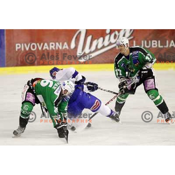  ice hockey match Tilia Olimpija- VSV in 46 round of Ebel league, played in Hala Tivoli, Ljubljana, Slovenia on January 6, 2011 