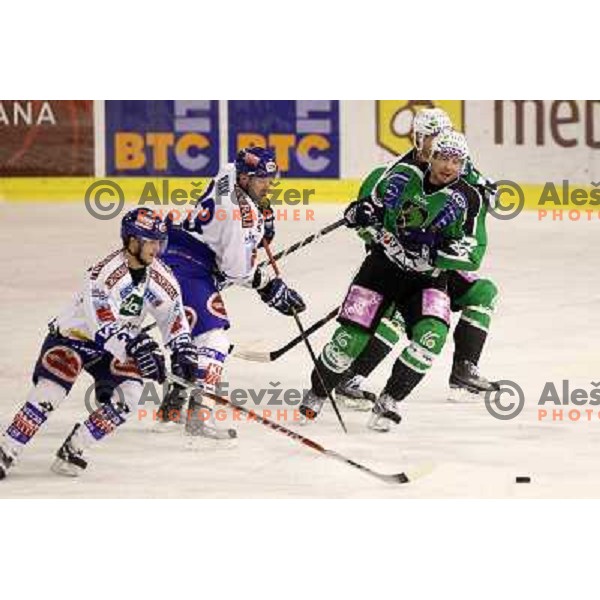 ice hockey match Tilia Olimpija- VSV in 46 round of Ebel league, played in Hala Tivoli, Ljubljana, Slovenia on January 6, 2011 