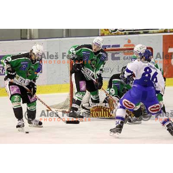 ice hockey match Tilia Olimpija- VSV in 46 round of Ebel league, played in Hala Tivoli, Ljubljana, Slovenia on January 6, 2011 