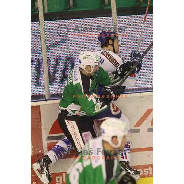  ice hockey match Tilia Olimpija- VSV in 46 round of Ebel league, played in Hala Tivoli, Ljubljana, Slovenia on January 6, 2011 
