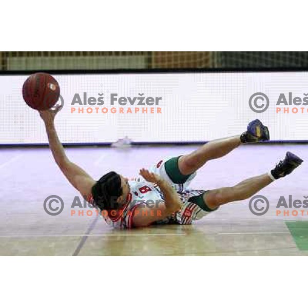 Miha Fon of Geoplin Slovan in action during basketball match in quarter-final of Spar Cup, played in Poden Sports Hall, Skofja Loka, Slovenia on Feburary 11, 2011 
