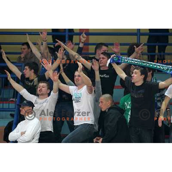 Fans of Zlatorog in action during basketball match in quarter-final of Spar Cup, played in Poden Sports Hall, Skofja Loka, Slovenia on Feburary 11, 2011 