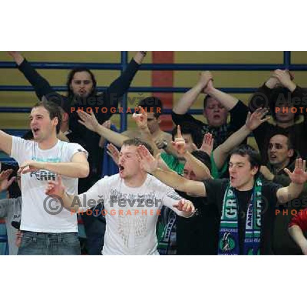 Fans of Zlatorog in action during basketball match in quarter-final of Spar Cup, played in Poden Sports Hall, Skofja Loka, Slovenia on Feburary 11, 2011 