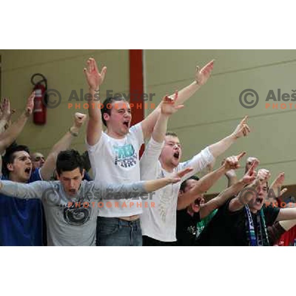 Fans of Zlatorog in action during basketball match in quarter-final of Spar Cup, played in Poden Sports Hall, Skofja Loka, Slovenia on Feburary 11, 2011 