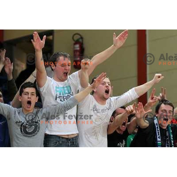 Fans of Zlatorog in action during basketball match in quarter-final of Spar Cup, played in Poden Sports Hall, Skofja Loka, Slovenia on Feburary 11, 2011 