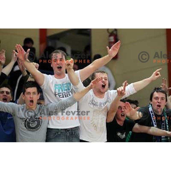 Fans of Zlatorog in action during basketball match in quarter-final of Spar Cup, played in Poden Sports Hall, Skofja Loka, Slovenia on Feburary 11, 2011 