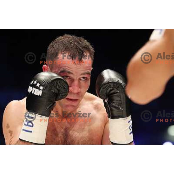 Dejan Zavec of Slovenia (blue trunks) IBF World Boxing Champion successfully defend his walterweight title with technical knockout (TKO) in fifth round against Paul Delgado of USA (white trunks) in front of 13.000 fans in Stozice, Ljubljana, Slovenia on F