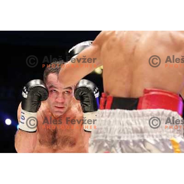Dejan Zavec of Slovenia (blue trunks) IBF World Boxing Champion successfully defend his walterweight title with technical knockout (TKO) in fifth round against Paul Delgado of USA (white trunks) in front of 13.000 fans in Stozice, Ljubljana, Slovenia on F
