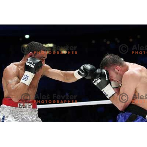 Dejan Zavec of Slovenia (blue trunks) IBF World Boxing Champion successfully defend his walterweight title with technical knockout (TKO) in fifth round against Paul Delgado of USA (white trunks) in front of 13.000 fans in Stozice, Ljubljana, Slovenia on F