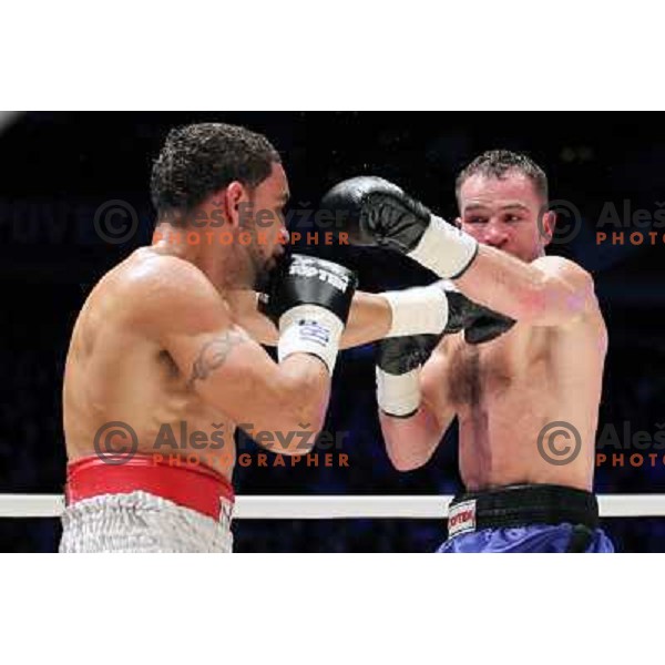 Dejan Zavec of Slovenia (blue trunks) IBF World Boxing Champion successfully defend his walterweight title with technical knockout (TKO) in fifth round against Paul Delgado of USA (white trunks) in front of 13.000 fans in Stozice, Ljubljana, Slovenia on F