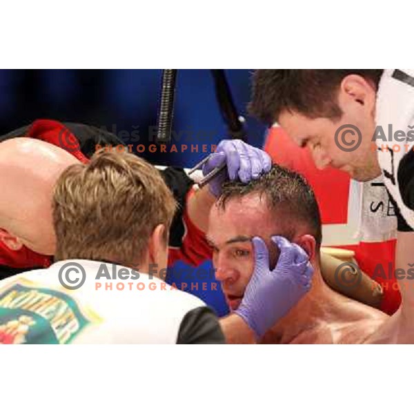Dejan Zavec of Slovenia (blue trunks) IBF World Boxing Champion successfully defend his walterweight title with technical knockout (TKO) in fifth round against Paul Delgado of USA (white trunks) in front of 13.000 fans in Stozice, Ljubljana, Slovenia on F
