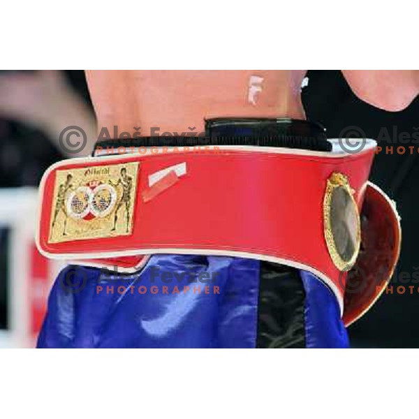 Dejan Zavec of Slovenia (blue trunks) IBF World Boxing Champion successfully defend his walterweight title with technical knockout (TKO) in fifth round against Paul Delgado of USA (white trunks) in front of 13.000 fans in Stozice, Ljubljana, Slovenia on F