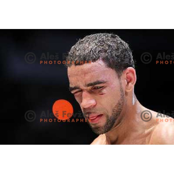 Paul Delgado of USA lost IBF World Boxing title fight in walterweight category with technical knockout (TKO) in fifth round in front of 13.000 fans in Stozice, Ljubljana, Slovenia on February 18,2011 