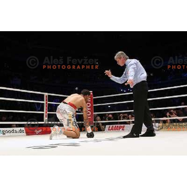 Paul Delgado of USA lost IBF World Boxing title fight in walterweight category with technical knockout (TKO) in fifth round in front of 13.000 fans in Stozice, Ljubljana, Slovenia on February 18,2011 
