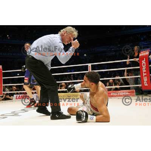 Dejan Zavec of Slovenia (blue trunks) IBF World Boxing Champion successfully defend his walterweight title with technical knockout (TKO) in fifth round against Paul Delgado of USA (white trunks) in front of 13.000 fans in Stozice, Ljubljana, Slovenia on F