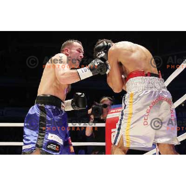 Dejan Zavec of Slovenia (blue trunks) IBF World Boxing Champion successfully defend his walterweight title with technical knockout (TKO) in fifth round against Paul Delgado of USA (white trunks) in front of 13.000 fans in Stozice, Ljubljana, Slovenia on F