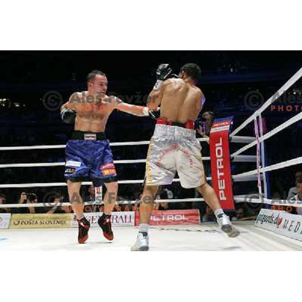 Dejan Zavec of Slovenia (blue trunks) IBF World Boxing Champion successfully defend his walterweight title with technical knockout (TKO) in fifth round against Paul Delgado of USA (white trunks) in front of 13.000 fans in Stozice, Ljubljana, Slovenia on F