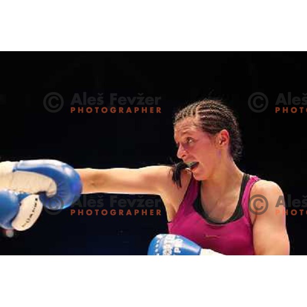 Christina Hammer of Germany (pink) successfully defend his WBF title with knockout (KO) in seventh round against Diana Kiss of Hungary (black) in front of 13.000 fans in Stozice, Ljubljana, Slovenia on February 18,2011Christina Hammer of Germany (pink) 
